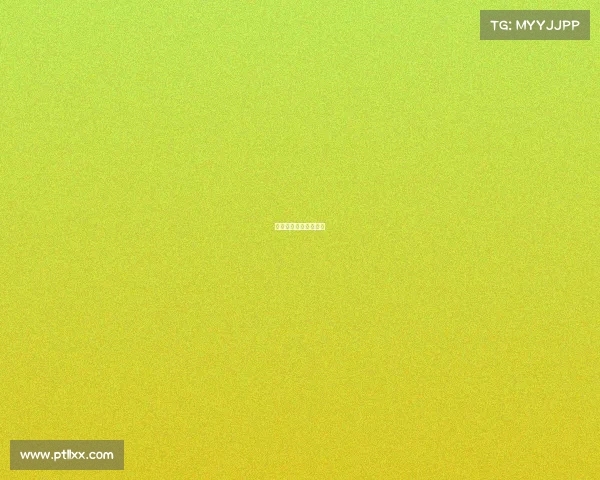 武术套路国际竞赛规则